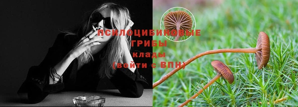 ПСИЛОЦИБИНОВЫЕ ГРИБЫ Алексеевка
