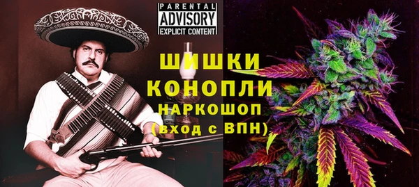 ПСИЛОЦИБИНОВЫЕ ГРИБЫ Алексеевка