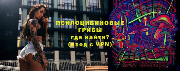ПСИЛОЦИБИНОВЫЕ ГРИБЫ Алексеевка