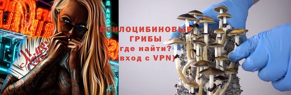 ПСИЛОЦИБИНОВЫЕ ГРИБЫ Алексеевка